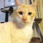 【3/18決定】フランくん1歳半