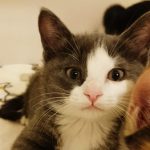 【5/6決定】といくん2ヵ月