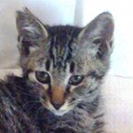 【7/15決定】プーくん3カ月