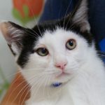 【決定】セフィラくん3カ月