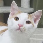 【2/17決定】たると君5ヵ月
