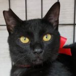 【5/26決定】武蔵くん1歳