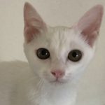 【決定】まいちゃん4ヶ月半