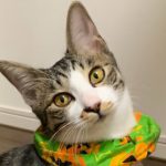 【3/1決定】さくくん10ヵ月