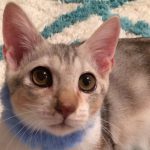 【決定】アルバくん4カ月半