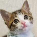 【11/17決定】うみくん2ヶ月