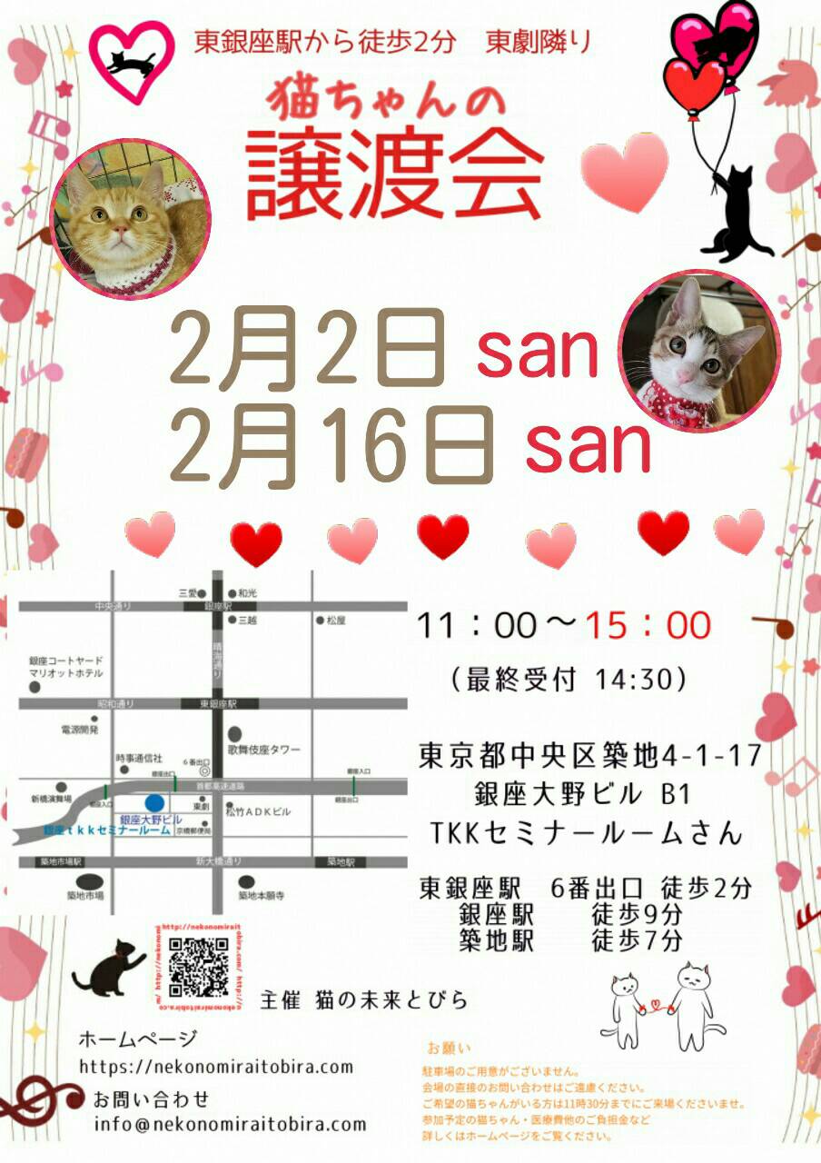【 第51回】 <br>東京東銀座にて ねこの譲渡会開催