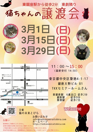 【 第53回】 <br>東京東銀座にて ねこの譲渡会開催