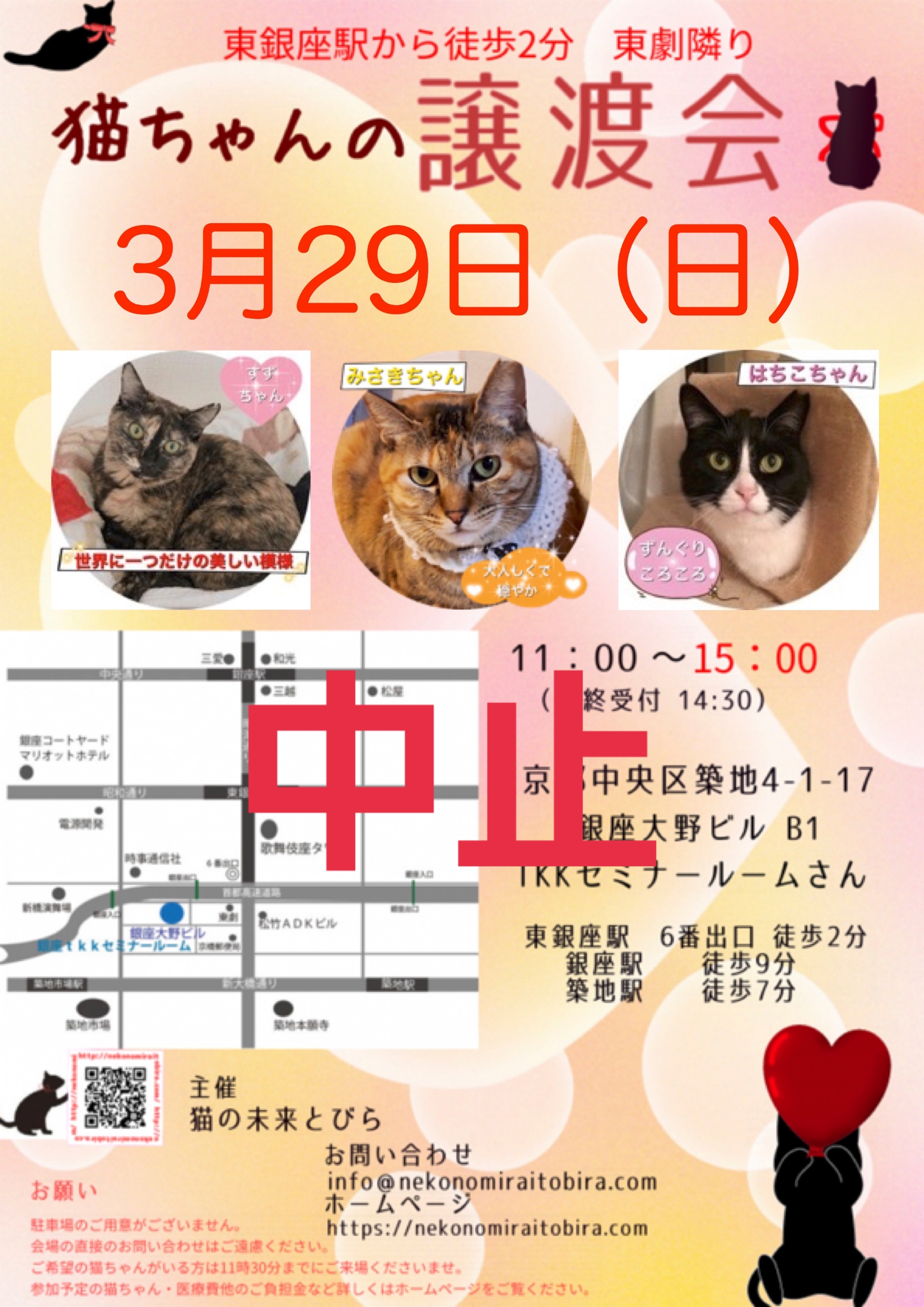 開催中止【 第55回】 <br>東京東銀座にて ねこの譲渡会開催