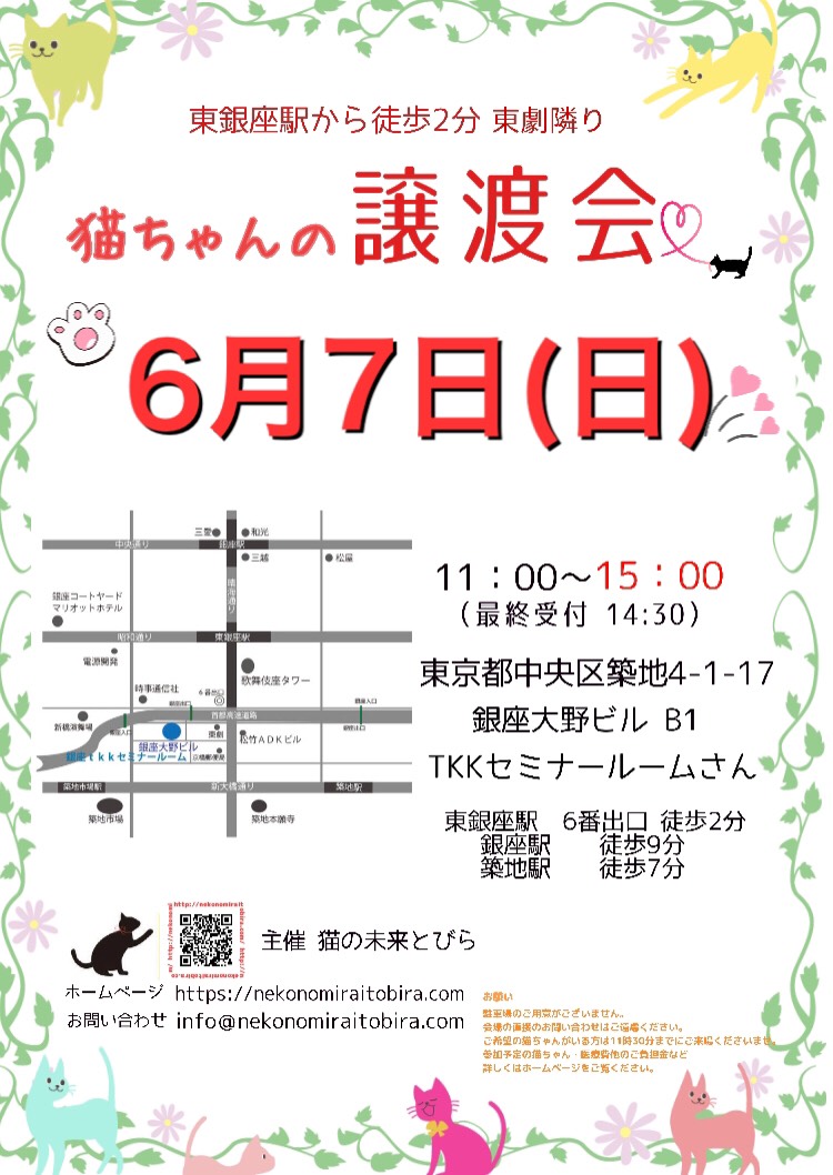 猫の未来とびら譲渡会in東銀座