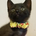 【6/21決定】レイアちゃん2ヵ月