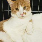 【11/1決定】ダークくん6ヵ月