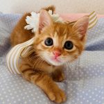 【8/30決定】スイカくん1ヵ月半