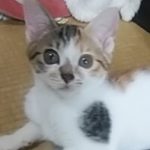 【9/13決定】ケイちゃん3ヵ月