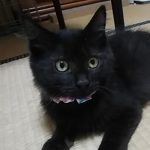 【12/20決定】くまくん5ヵ月半