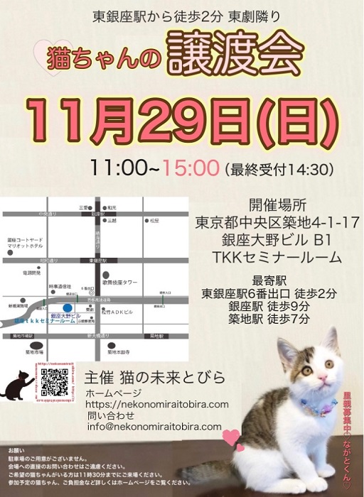 <center>猫の未来とびら譲渡会in東銀座</center>