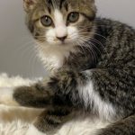 【1/3決定】ミラちゃん3ヵ月