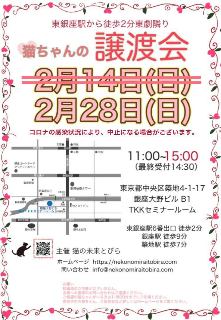 <center>猫の未来とびら譲渡会in東銀座</center>