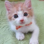まりおくん