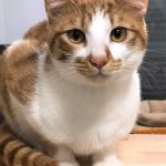 涼くん