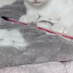 からくん