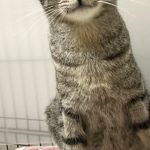 大島くん