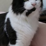 王子くん②
