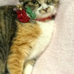 美海（みか）ちゃん