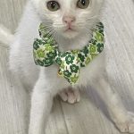 ガッツくん