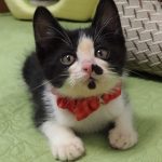 こう坊くん