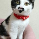 ジェニーちゃん