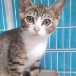 マリリンちゃん