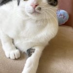 ぽっちくん
