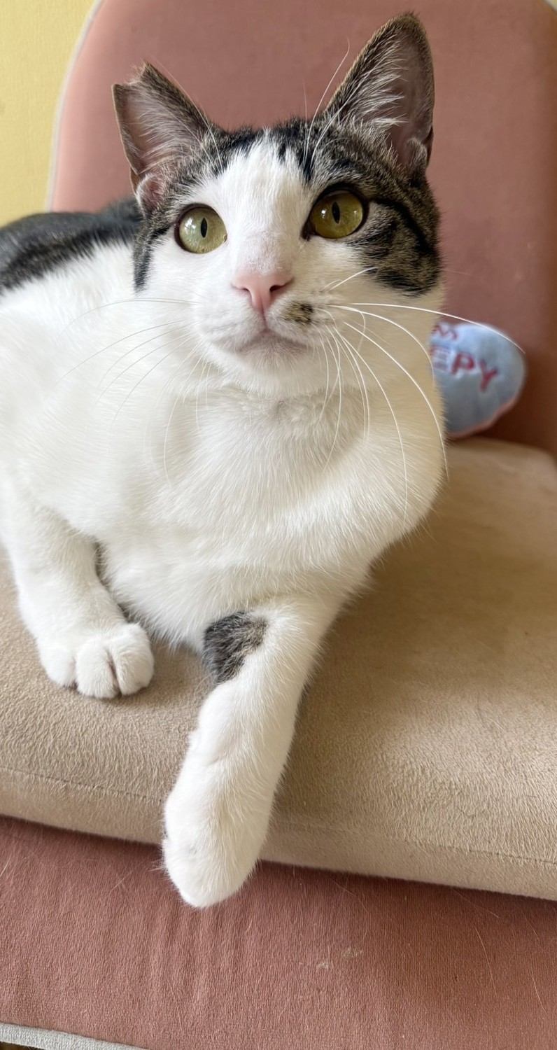 ぽっちくん