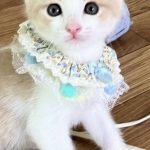 瑞樹くん