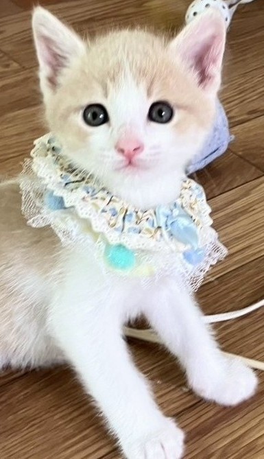 瑞樹くん