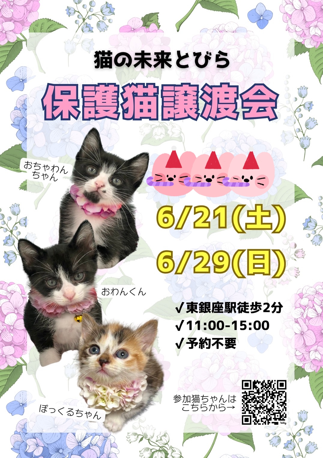 <center>猫の未来とびら譲渡会in東銀座</center>