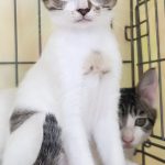 ユーちゃん