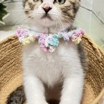 みとちゃん