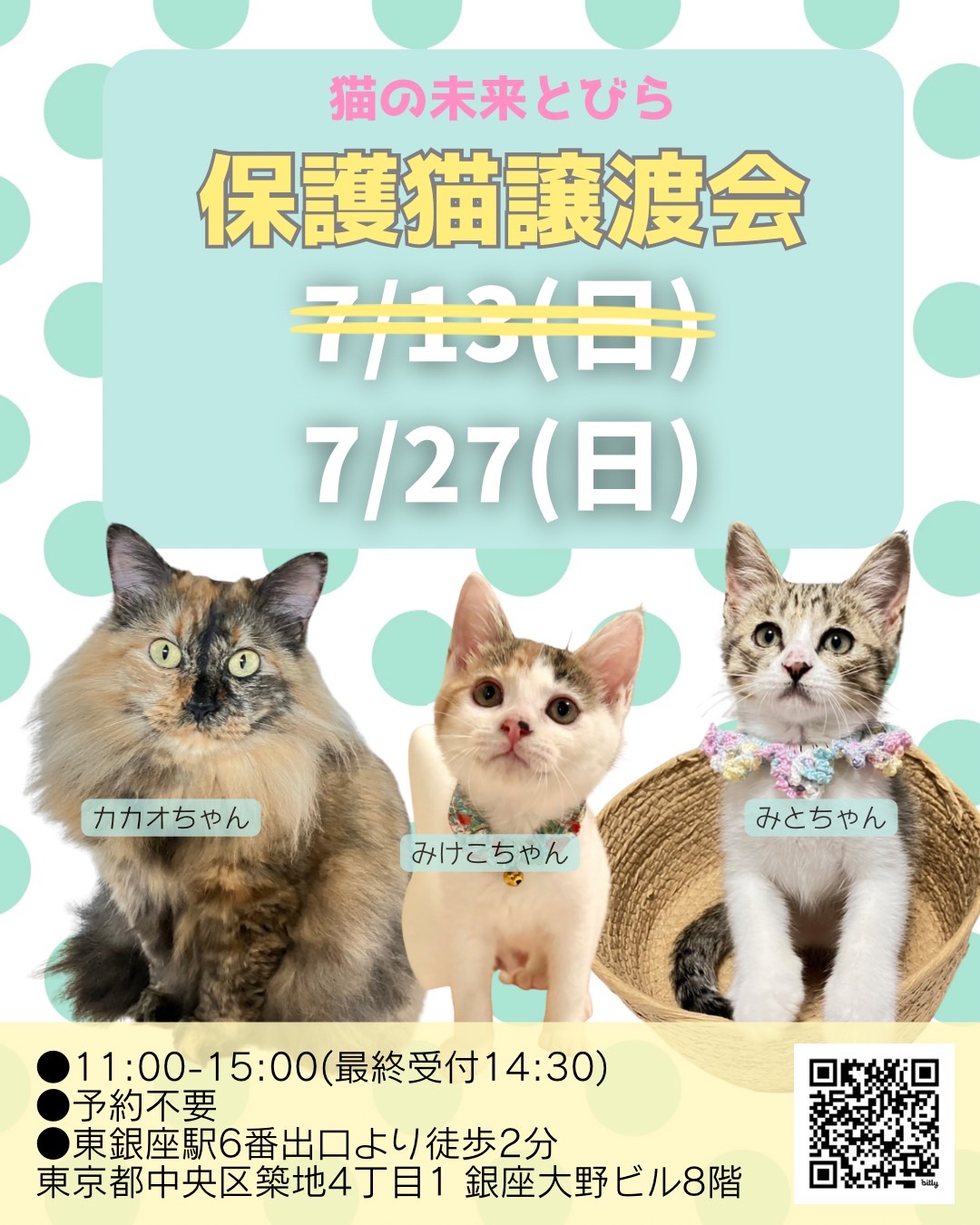 <center>猫の未来とびら譲渡会in東銀座</center>