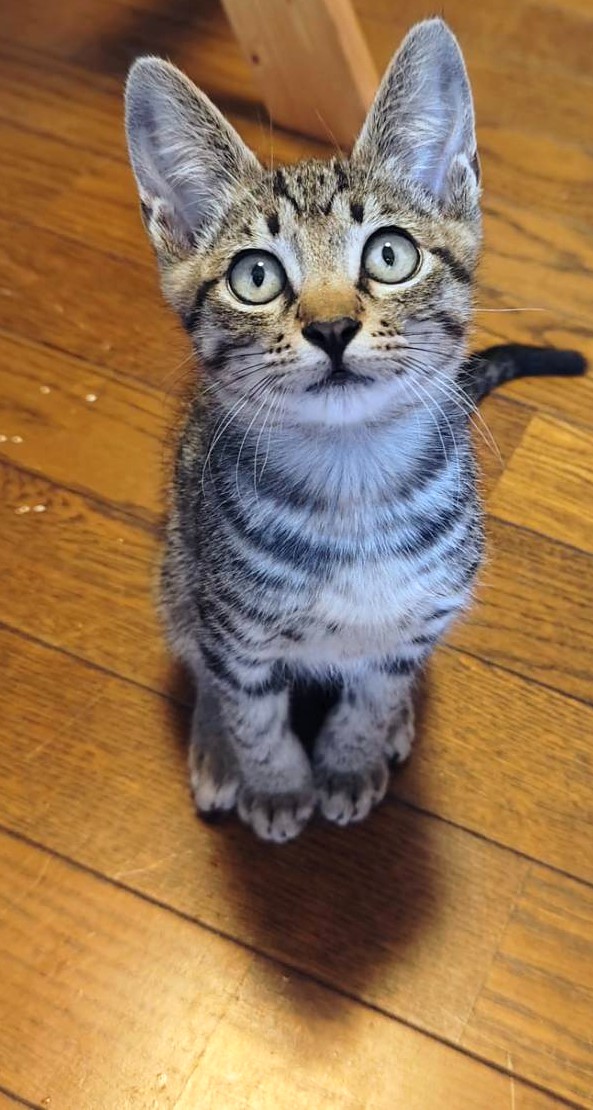 渚くん