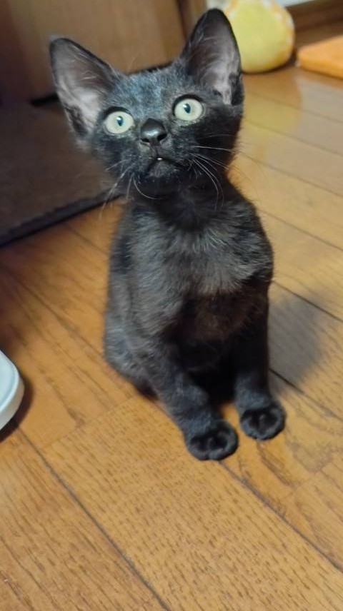 澪くん