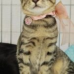 渚くん