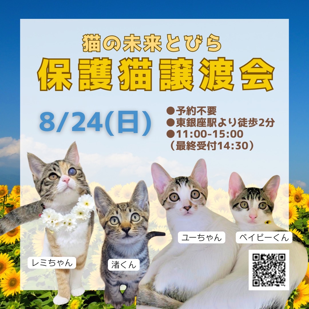 <center>猫の未来とびら譲渡会in東銀座</center>