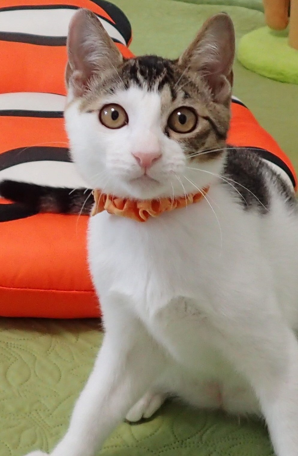 ちっちくん
