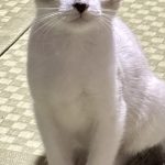 むにくん