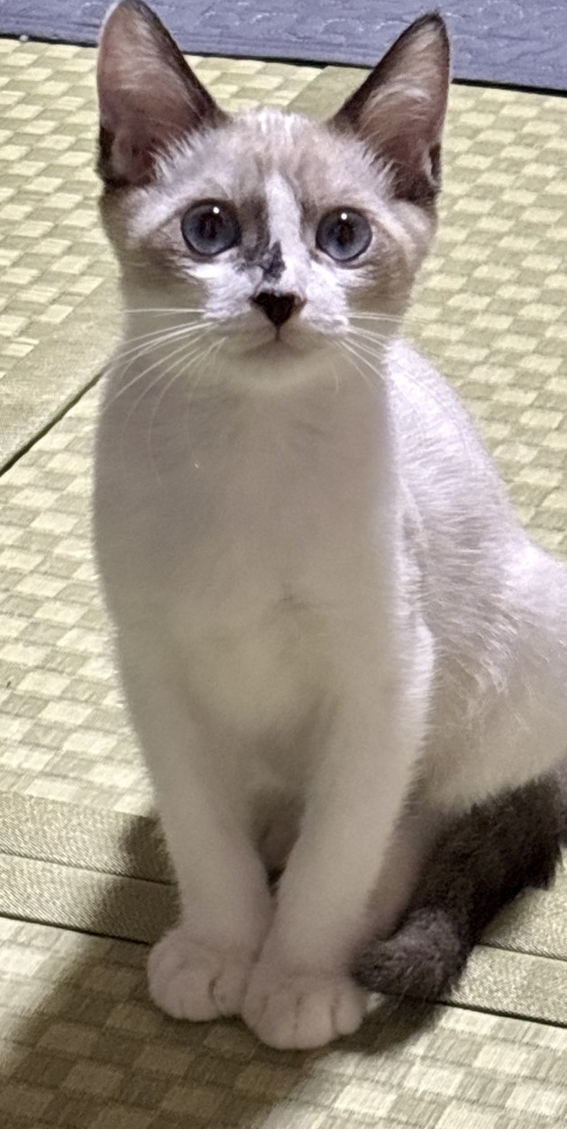 むにくん
