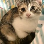 ららちゃん