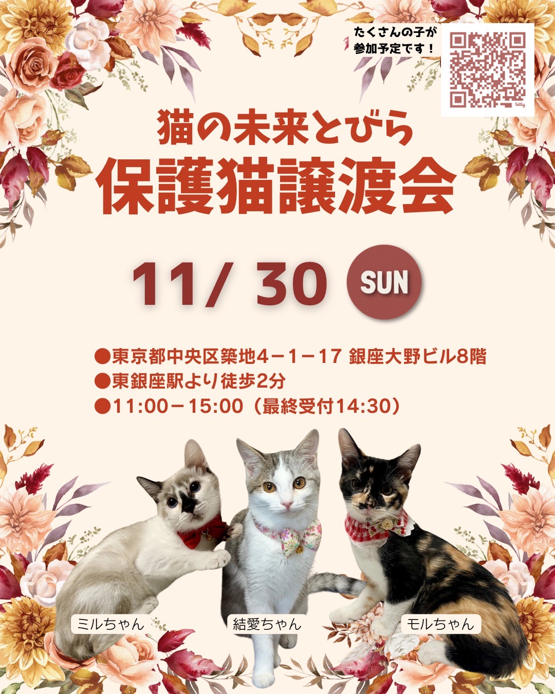 <center>猫の未来とびら譲渡会in東銀座</center>