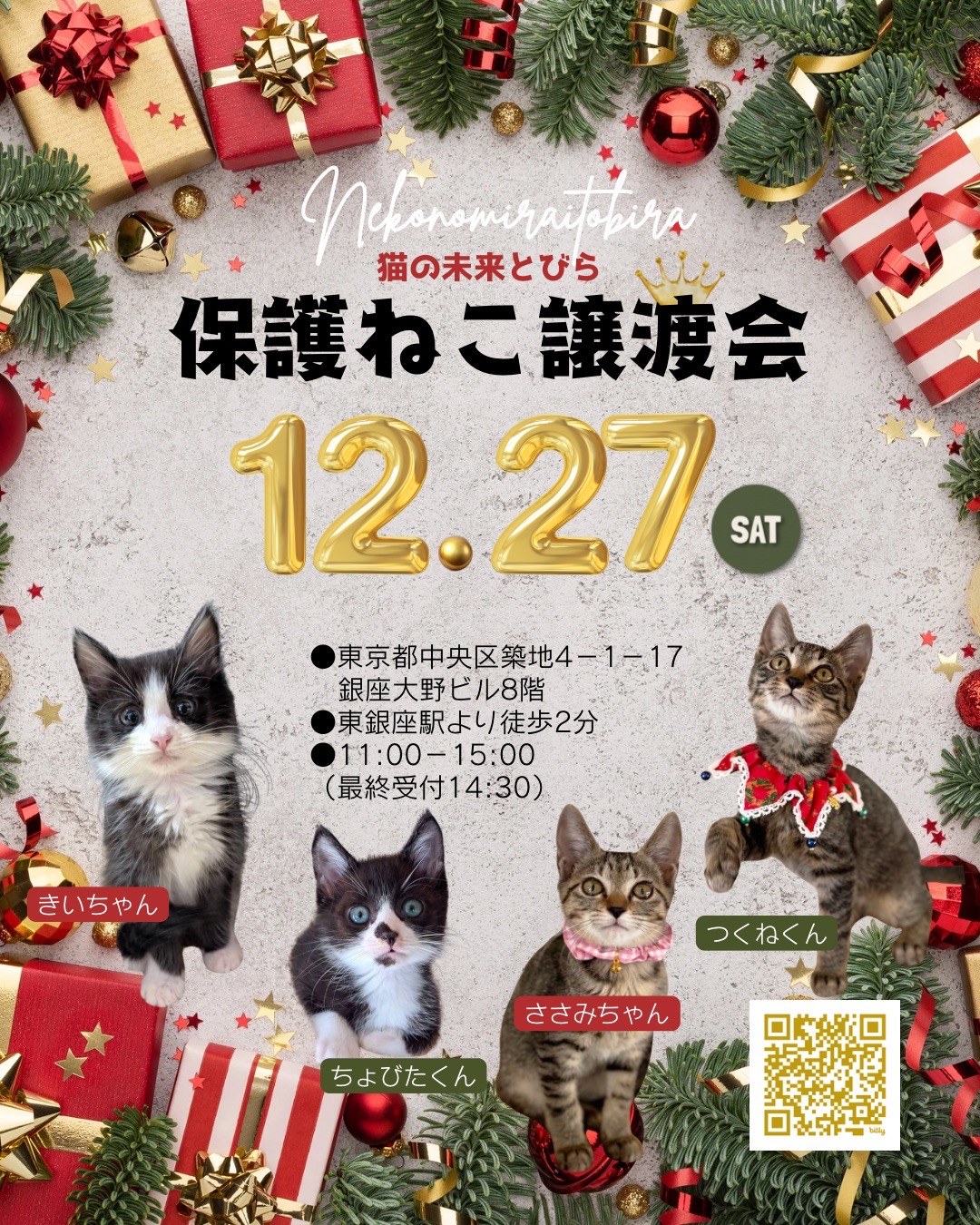 猫の未来とびら〜東京保護猫の譲渡会